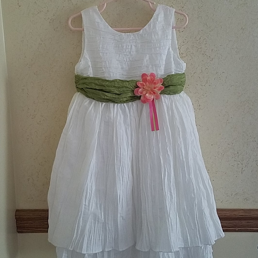 3t Cherokee dress